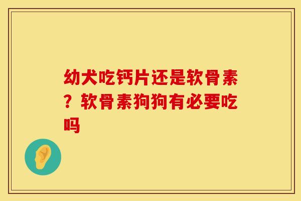 幼犬吃钙片还是软骨素？软骨素狗狗有必要吃吗