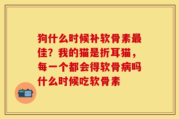 狗什么时候补软骨素最佳？我的猫是折耳猫，每一个都会得软骨病吗什么时候吃软骨素