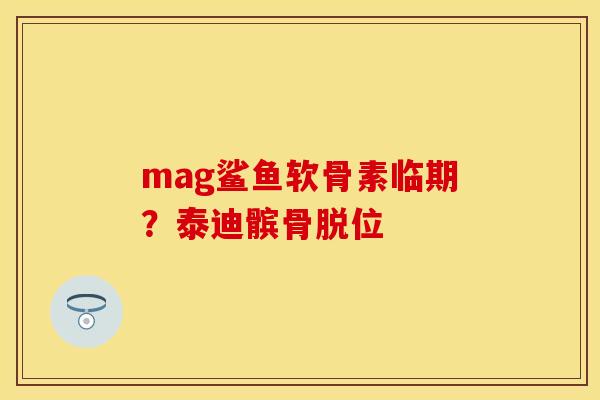 mag鲨鱼软骨素临期？泰迪髌骨脱位