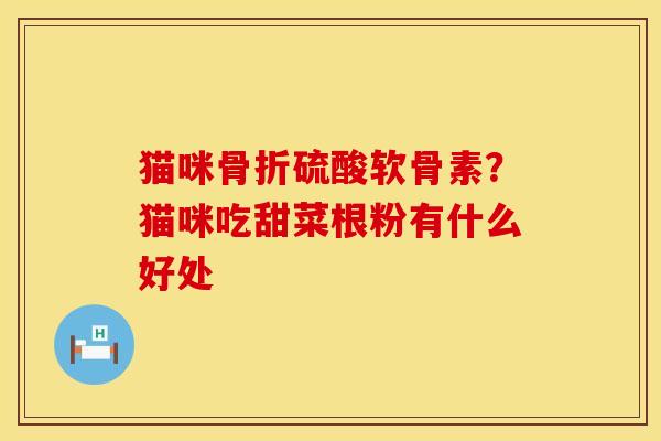 猫咪骨折硫酸软骨素？猫咪吃甜菜根粉有什么好处