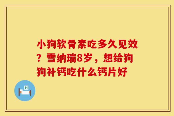小狗软骨素吃多久见效?雪纳瑞8岁,想给狗狗补钙吃什么钙片好 小狗软骨素吃多久见效?雪纳瑞8岁,想给狗狗补钙吃什么钙片好