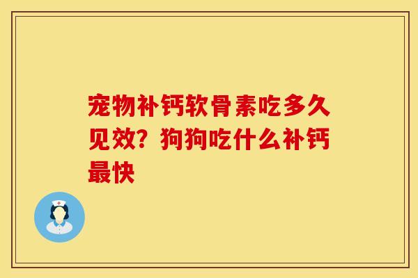宠物补钙软骨素吃多久见效？狗狗吃什么补钙最快
