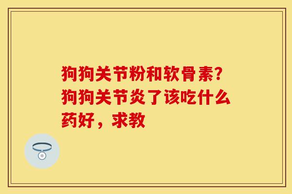 狗狗关节粉和软骨素？狗狗关节炎了该吃什么药好，求教