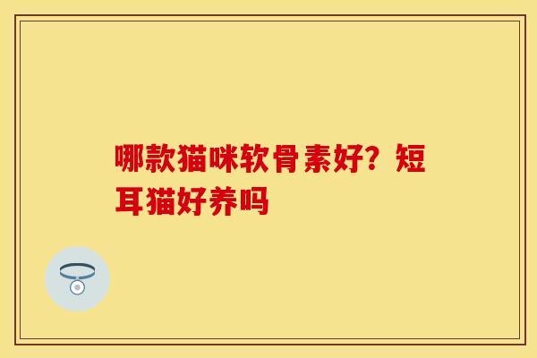 哪款猫咪软骨素好？短耳猫好养吗
