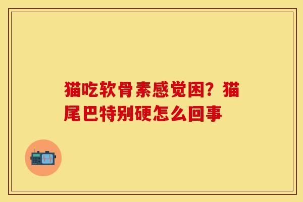 猫吃软骨素感觉困？猫尾巴特别硬怎么回事