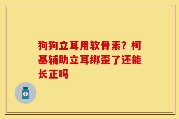 狗狗立耳用软骨素？柯基辅助立耳绑歪了还能长正吗