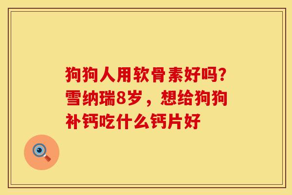 狗狗人用软骨素好吗？雪纳瑞8岁，想给狗狗补钙吃什么钙片好