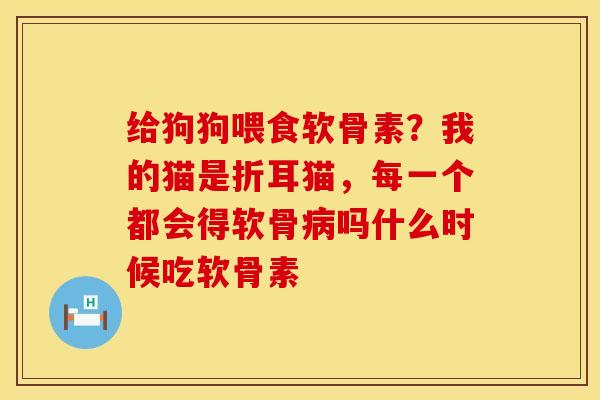 给狗狗喂食软骨素？我的猫是折耳猫，每一个都会得软骨病吗什么时候吃软骨素