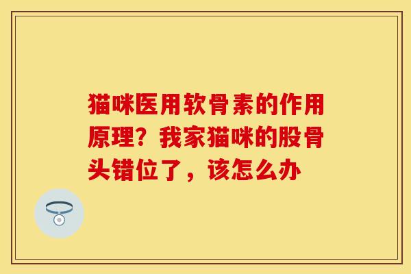 猫咪医用软骨素的作用原理？我家猫咪的股骨头错位了，该怎么办