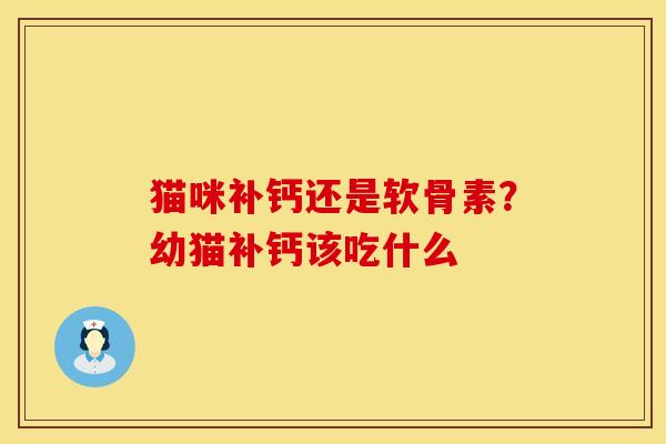 猫咪补钙还是软骨素？幼猫补钙该吃什么