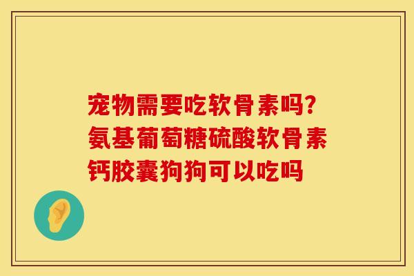 宠物需要吃软骨素吗？氨基葡萄糖硫酸软骨素钙胶囊狗狗可以吃吗