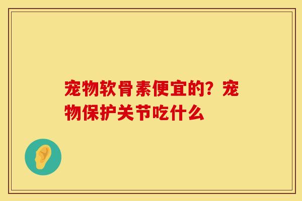 宠物软骨素便宜的？宠物保护关节吃什么