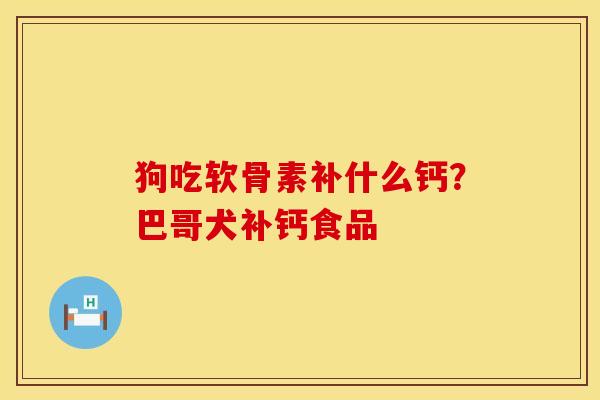 狗吃软骨素补什么钙？巴哥犬补钙食品