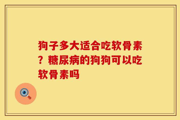 狗子多大适合吃软骨素？糖尿病的狗狗可以吃软骨素吗