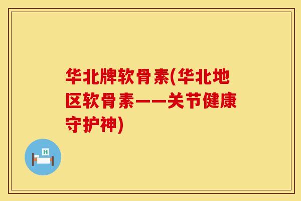 华北牌软骨素(华北地区软骨素——关节健康守护神)