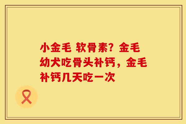 小金毛 软骨素?金毛幼犬吃骨头补钙,金毛补钙几天吃一次