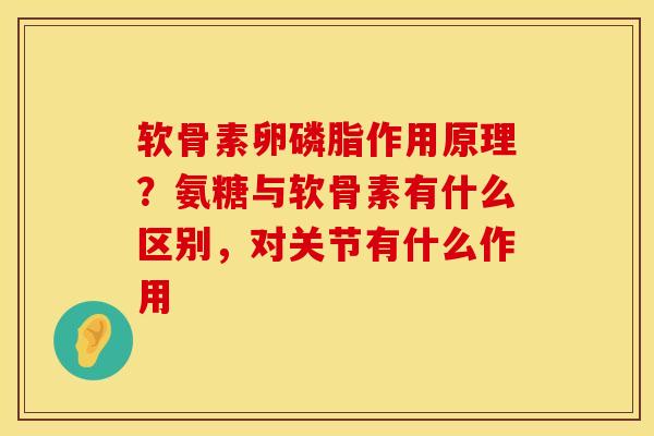软骨素卵磷脂作用原理？氨糖与软骨素有什么区别，对关节有什么作用