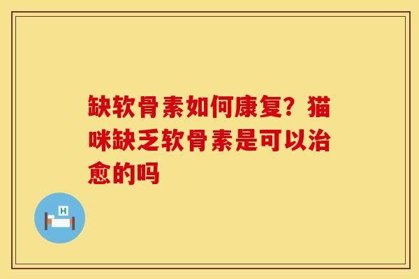缺软骨素如何康复？猫咪缺乏软骨素是可以治愈的吗