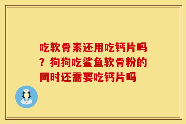 吃软骨素还用吃钙片吗？狗狗吃鲨鱼软骨粉的同时还需要吃钙片吗