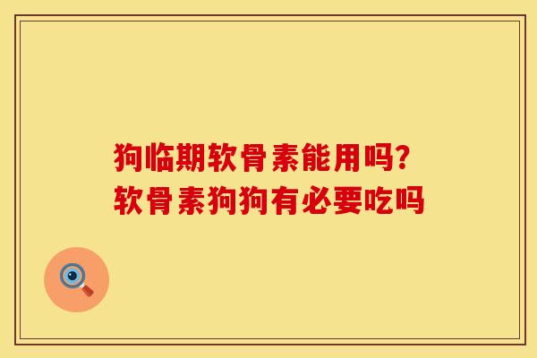 狗临期软骨素能用吗？软骨素狗狗有必要吃吗