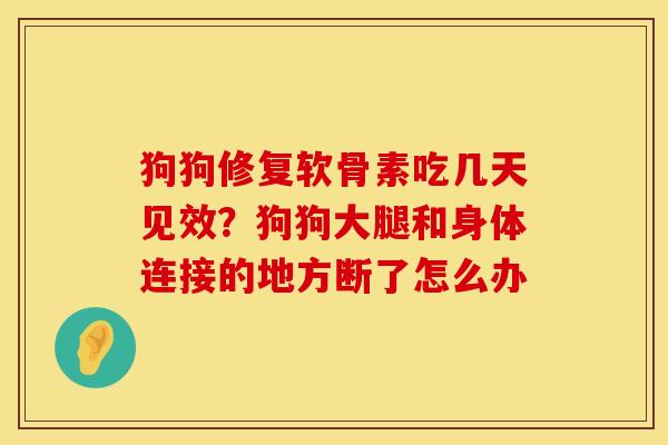 狗狗修复软骨素吃几天见效？狗狗大腿和身体连接的地方断了怎么办