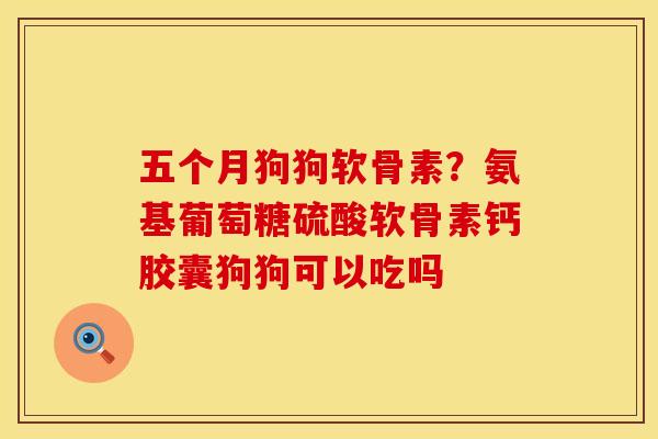 五个月狗狗软骨素？氨基葡萄糖硫酸软骨素钙胶囊狗狗可以吃吗