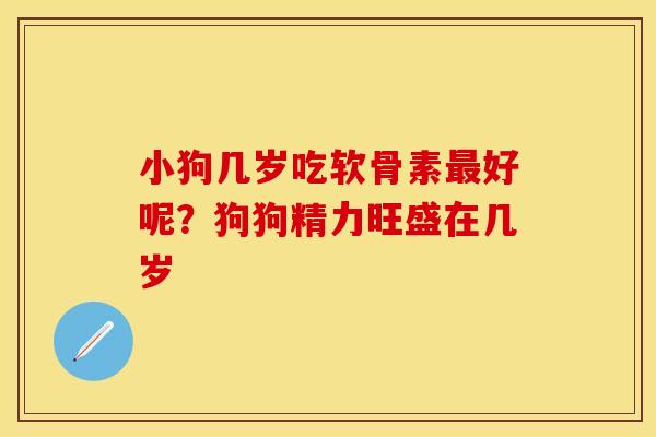 小狗几岁吃软骨素最好呢？狗狗精力旺盛在几岁
