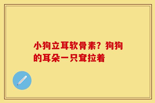 小狗立耳软骨素？狗狗的耳朵一只耷拉着