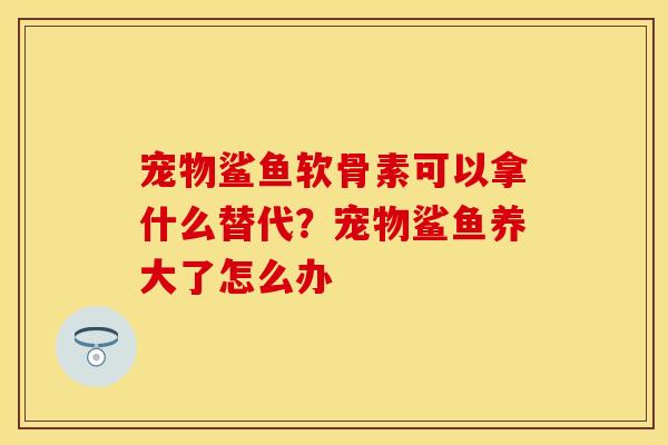宠物鲨鱼软骨素可以拿什么替代？宠物鲨鱼养大了怎么办