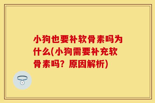 小狗也要补软骨素吗为什么(小狗需要补充软骨素吗？原因解析)