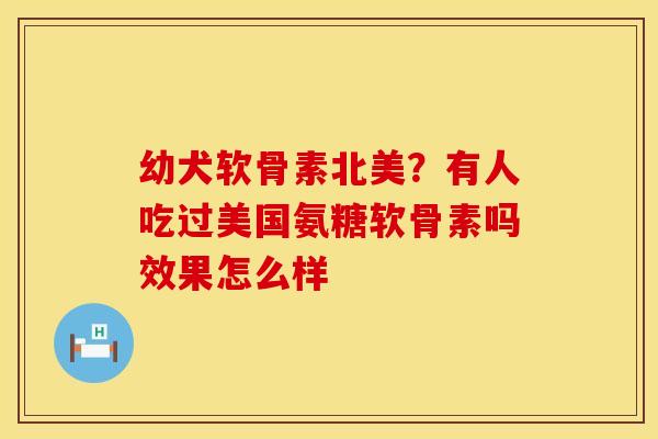 幼犬软骨素北美？有人吃过美国氨糖软骨素吗效果怎么样