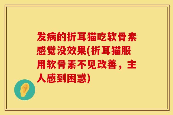 发病的折耳猫吃软骨素感觉没效果(折耳猫服用软骨素不见改善，主人感到困惑)