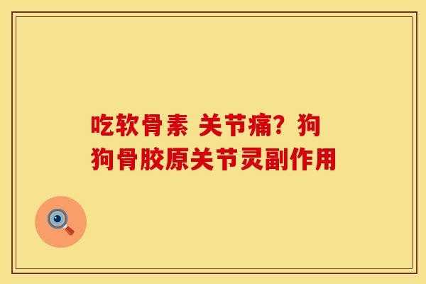 吃软骨素 关节痛？狗狗骨胶原关节灵副作用