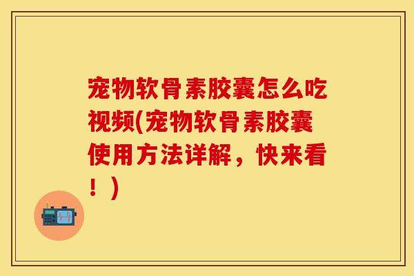 宠物软骨素胶囊怎么吃视频(宠物软骨素胶囊使用方法详解，快来看！)