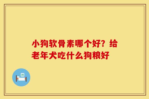 小狗软骨素哪个好？给老年犬吃什么狗粮好