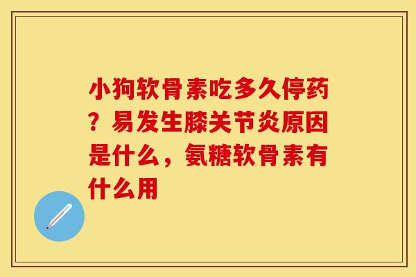 小狗软骨素吃多久停药？易发生膝关节炎原因是什么，氨糖软骨素有什么用