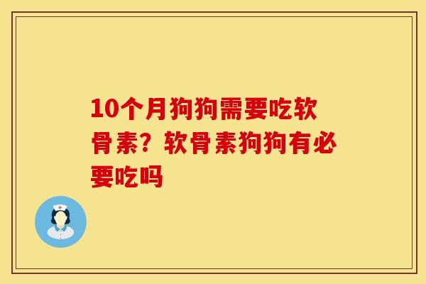 10个月狗狗需要吃软骨素？软骨素狗狗有必要吃吗