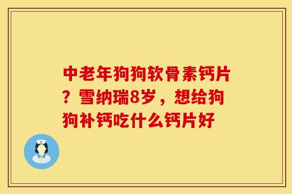 中老年狗狗软骨素钙片？雪纳瑞8岁，想给狗狗补钙吃什么钙片好