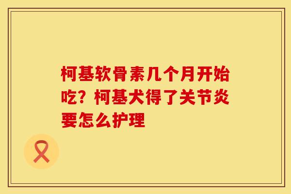 柯基软骨素几个月开始吃？柯基犬得了关节炎要怎么护理