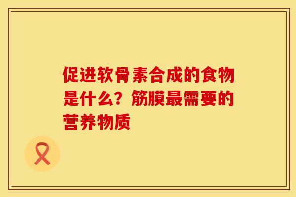 促进软骨素合成的食物是什么？筋膜最需要的营养物质