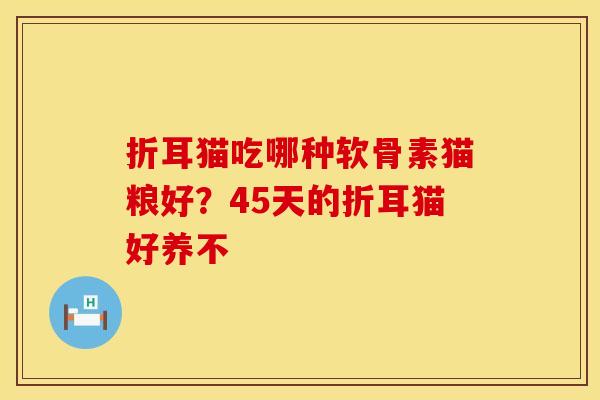 折耳猫吃哪种软骨素猫粮好？45天的折耳猫好养不