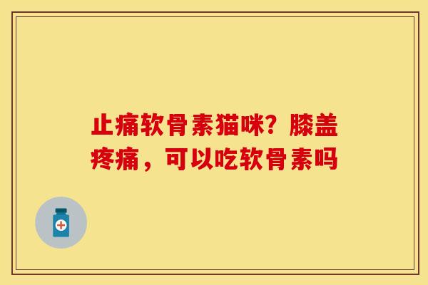止痛软骨素猫咪？膝盖疼痛，可以吃软骨素吗