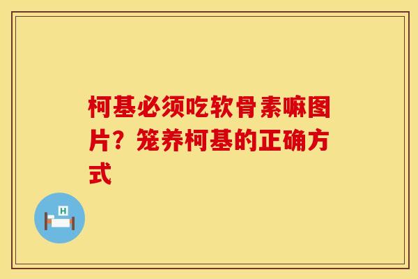 柯基必须吃软骨素嘛图片？笼养柯基的正确方式
