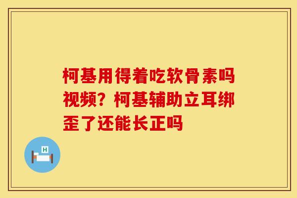 柯基用得着吃软骨素吗视频？柯基辅助立耳绑歪了还能长正吗