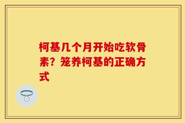 柯基几个月开始吃软骨素？笼养柯基的正确方式