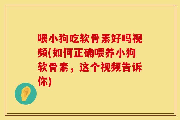 喂小狗吃软骨素好吗视频(如何正确喂养小狗软骨素，这个视频告诉你)