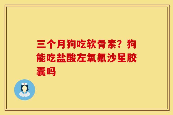 三个月狗吃软骨素？狗能吃盐酸左氧氟沙星胶囊吗