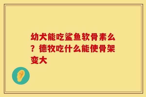 幼犬能吃鲨鱼软骨素么？德牧吃什么能使骨架变大