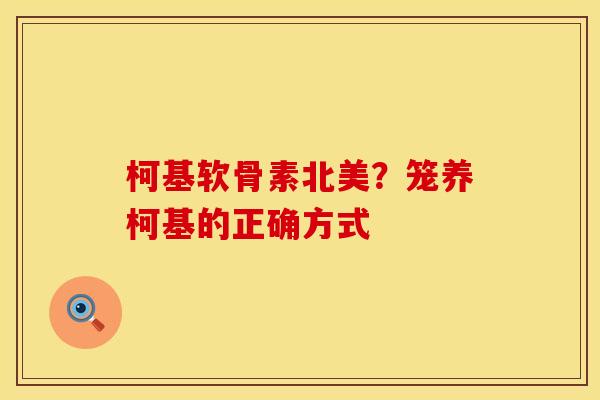 柯基软骨素北美？笼养柯基的正确方式