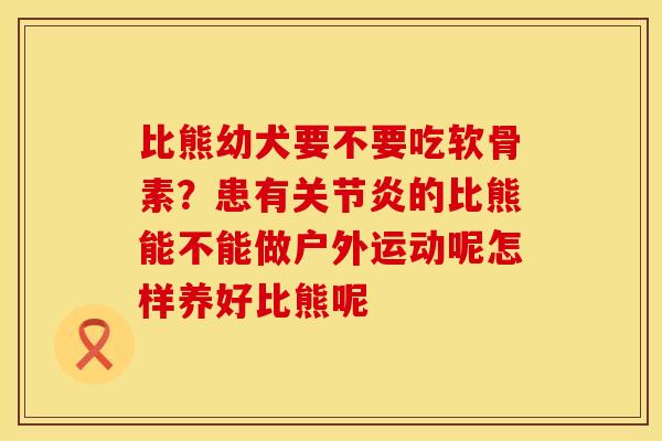 比熊幼犬要不要吃软骨素？患有关节炎的比熊能不能做户外运动呢怎样养好比熊呢